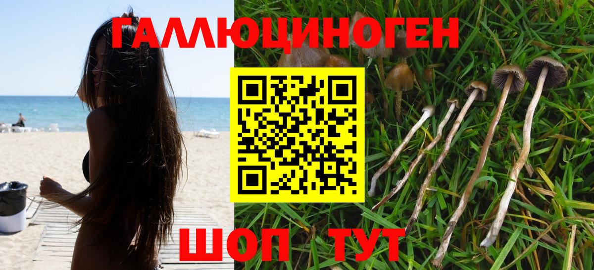 Усинск  Псилоцибиновые грибы GOLDEN TEACHER  Вход с VPN 